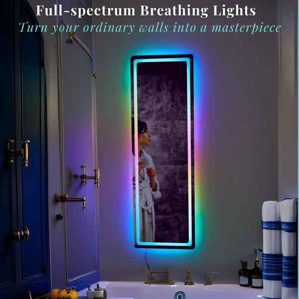 Wrought Studio Denekia Lighted Full Length Mirror Wall Mounted Mirror